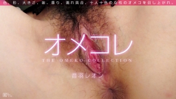 OMEKORE MANKO COLLECTION OTOWA Reon :: Reon Otowa