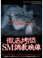 Complete Torture S&M Breaking In Video - 徹底拷問SM調教映像