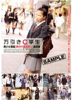 Shoplifting High School Student - Carefully Selected Beautiful Girl - Your Punishment Is Penetration - Complete Record - 万引きC学生 美少女厳選[罪の代償は挿入]全記録 [nhdt-382]