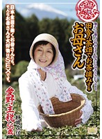 Nationwide Jukujo Sousakutai . MILFs Harvest Tea At A Country Tea Farm. - 全国熟女捜索隊 田舎の茶畑でお茶摘みするお母さん [isd-29]