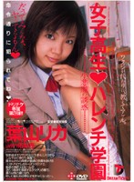 Schoolgirl From The Dirty School - Rika Hazuki - 女子校生◆ハレンチ学園 葉山リカ [ffd-004]