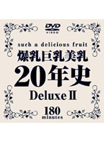 The 20 Year History of Giant Tits, Big Tits and Beautiful Tits Deluxe 2 - 爆乳巨乳美乳20年史 Deluxe 2