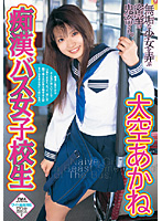 Molester Bus High School Girls Akane Ozora - 痴漢バス女子校生 大空あかね [14id-046]