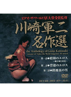 Gunji Kawasaki Masterpiece Collection - 川崎軍二名作選 [het-049]