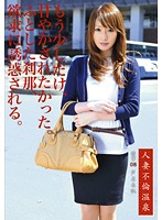 Married Woman Immoral Hot Spring 08 - 人妻不倫温泉 08 [aby-008]