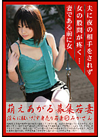 Hot Young Wife Recruitment 41 - Ms. Mika - 萌えあがる募集若妻 淫らに狂いだす身売り若妻 41 みかさん [mbd-041]