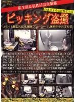 Hidden Home Cams LIFE- 11 - ピッキング盗撮 LIFE-11 [ppd-011]