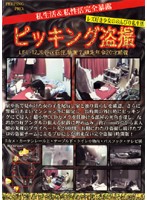 Hidden Home Cams LIFE- 12 - ピッキング盗撮 LIFE-12 [ppd-012]
