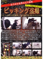 Hidden Home Cams LIFE- 13 - ピッキング盗撮 LIFE-13 [ppd-013]