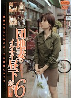 Apartment Wife Forbidden Afternoon 6 - 団地妻のイケナイ昼下がり 6 [sd-0643]