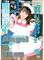 Angel 涼風杏菜 [and-143]