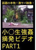 The Video of Barely Legal Girls' Rape Uncovered Part 1 - 小○生強姦摘発ビデオ PART1