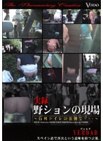 True Stories - The Scene of the Outdoor Urination - 実録 野ションの現場