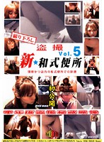 Voyeur -New Japanese Style Toilets vol. 5 - 盗撮 新★和式便所 Vol.5