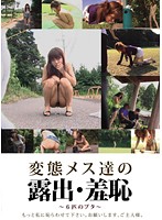 Perverted Bitches Exhibitionists Of Shame - 変態メス達の露出・羞恥 [evis-006]