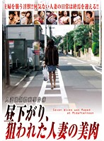 Married Woman Forced Filthy Case File Preying on a Housewife's Reality - 人妻強制猥褻事件簿 昼下がり、狙われた人妻の美肉 [vnds-2713]