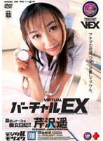 Virtual EX - Stimulating Nurse's Smut Diary! Haruka Serizawa - バーチャルEX 励ましナースの痴女日記！！ 芹沢遥 [iptd-025]