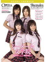Shemale Academy: Pissing Transsexuals in Anal Orgy - シーメール女学院 倒錯乱交W2連結◆超失禁射精 [opud-087]