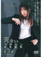 Perfect Perverted Prisoner (Abduction and Confinement) Haruka Serizawa - 完全なるラチカン（拉致監禁） 芹沢遥 [shkd-208]
