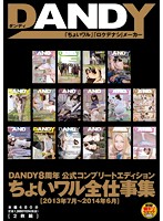 DANDY 8th Anniversary Official Complete Edition: Slightly Naughty Complete Works Collection- July 2013 to June 2014 - DANDY8周年公式コンプリートエディション ちょいワル全仕事集＜2013年7月〜2014年6月＞ [dandy-389]