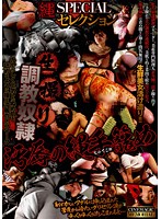 Rope Special Selection - Raw Footage of Breaking In Slave - Disgraceful Rope Rape - 縄SPECIALセレクション 生撮り調教奴隷 汚辱の縄手籠め [cma-019]
