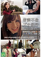Young Wife's Adultery Travel Diary Rikako, 29 - 若妻不倫プチ紀行 りかこ29歳 [vnds-7065]