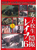 Schoolgirl Rape Hidden Camera 16 - 女子校生レイプ隠撮 16 [ts-001]