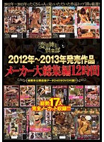 Hentai Shinshi Club Presents: Highlights From Videos Released In 2012 And 2013, 12 Hours Of Footage - 2012年〜2013年発売作品メーカー大総集編12時間 [stol-009]