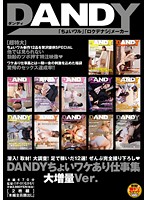 DANDY Special Work Collection Huge Ver. - DANDYちょいワケあり仕事集 大増量Ver. [dandy-409]