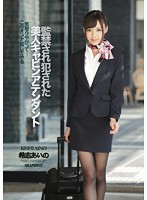 A Hot Stewardess's Confinement & Rape Aino Kishi