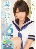 The Tits Are Overly Sensitive On This This Short-haired Angel Koharu Aoi 16 Hours - おっぱいが感じすぎちゃう ショートカットの敏感天使 葵こはる 16時間 [rbb-013]