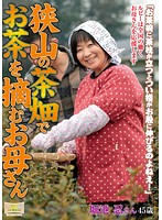 Tea-Picking MILF On From A Plantation In Sayama Shinobu Horiike - 狭山の茶畑でお茶を摘むお母さん 堀池忍 [isd-82]