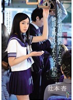 A Schoolgirl Is Taught A Lesson in Ecstasy By The Hands Of A Molester While On Her Way To School Starring Ann Tsujimoto