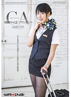 A Stewardess's Secret Side Kana Yume - 別顔キャビンアテンダント 由愛可奈 [mxgs-794]