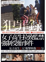 Crime Records. The Case Of A Schoolgirl's Abduction, Confinement And Forced Impregnation. File. 04 - 犯罪録 女子校生拉致監禁強制受胎事件 File.04 [zro-120]
