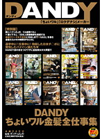 DANDY Bad Blond Girls Work Collection - DANDYちょいワル金髪全仕事集 [dandy-274]
