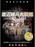 Takuro Watanabe Illustrated Eight Hour Premium Best 5 - 渡辺琢斗大図鑑 8時間 Premium Best 5 [avsp-016]