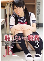 Innocent Schoolgirl's Shy Defecation 3 Kanon Kuga - 清純女子校生恥じらいの脱糞3 久我かのん [rbd-741]