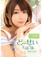 Let's Live Together Starring Chinami Itou - どーせいしようよ 伊東ちなみ [mide-298]