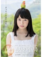Kotori Morino's AV Debut - もりの小鳥 AV debut [star-699]