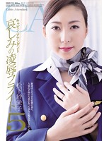 Stewardess's Tragic Torture & Rape Flight 5 - Saeko Matsushita - キャビン・アテンダント 哀しみの凌辱フライト5 松下紗栄子 [shkd-713]