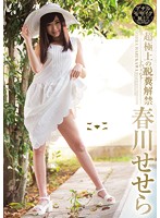 The Ultimate Pooping Unleashed Sesera Harukawa - 超極上の脱糞解禁 春川せせら