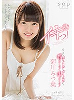 Mitsuba Kikukawa Her First Orgasm! - 菊川みつ葉 初イキっ！ [star-771]