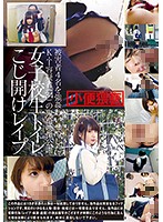 Schoolgirl Toilet Handjob Open Rape - 女子校生トイレこじ開けレイプ [t28-497]