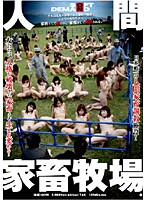 Human Cattle Ranch - 人間家畜牧場 [sdms-608]