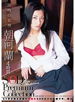 朝河蘭 4時間 SOD Premium Collection [sdmt-614]