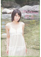 ECLOSION Full Bloom - 23 Year Old Sex-Addict's PORN DEBUT - Aoi Kirishima - ECLOSION 開花〜性に臆病な23歳のAV DEBUT〜 桐嶋あおい [star-392]