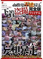Illegal Entry Into The Home Of A Woman Underwear Peeping Complete Edition The Final Version - 女性宅不法侵入 下着盗撮 完全版ファイナル [dpjt-095]