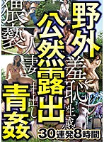 Outdoor Public Exhibitionism. Outdoor Sex. 30 Scenes, 8 Hours - 野外 公然露出 青姦 30連発8時間 [dinm-486]