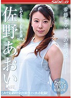 Nagae Style Young Wife No.1 - Aoi Sano - LAST - ながえSTYLE若妻No.1 佐野あおい LAST [nsps-879]